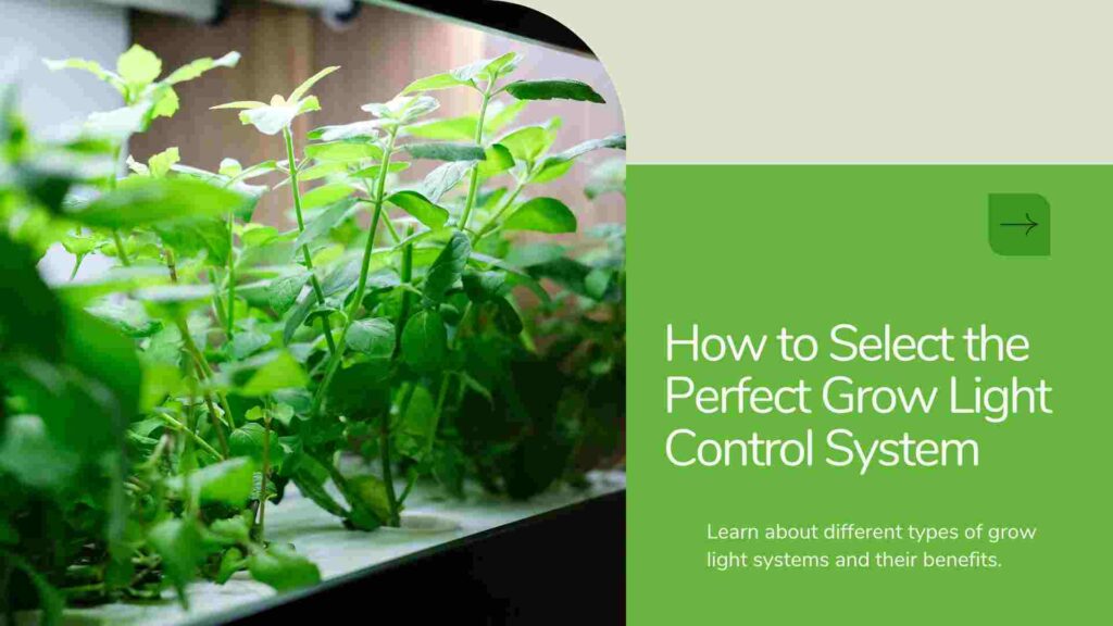 Grow Light Control Systems