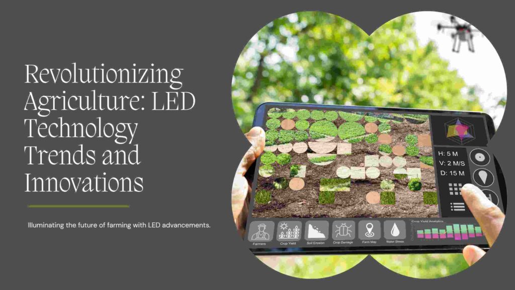 Impact of LED Lights on Plant Growth and Development