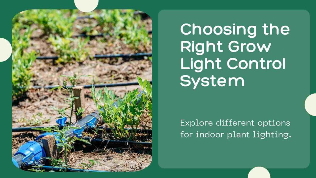 Grow Light Control Systems