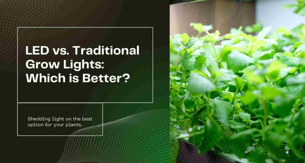 The Benefits of Smart LED Lighting in Horticulture