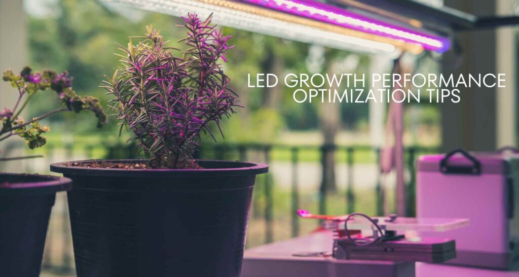 The Benefits of Smart LED Lighting in Horticulture